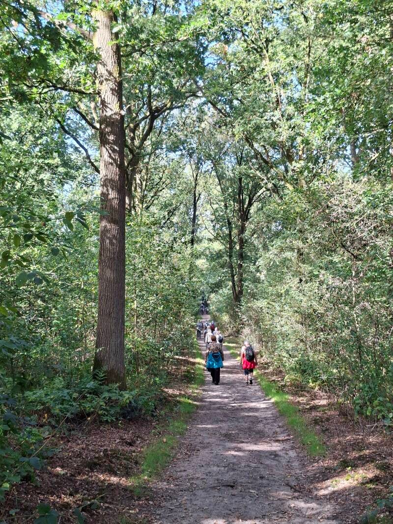 wandelen-4-4-standard.jpg