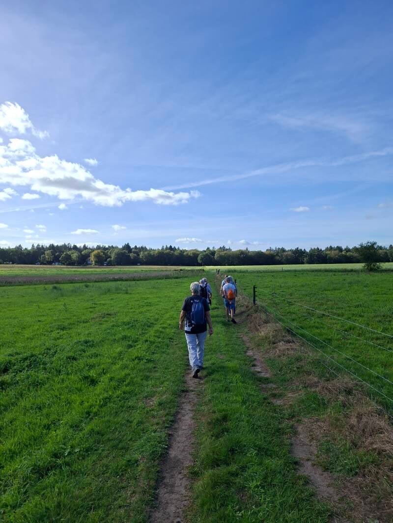 wandelen-4-5-standard.jpg