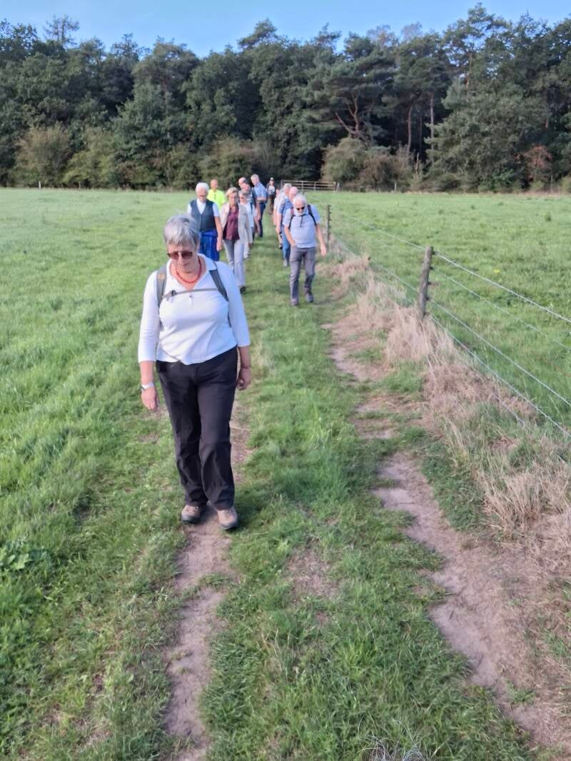 wandelen-4-6-standard.jpg