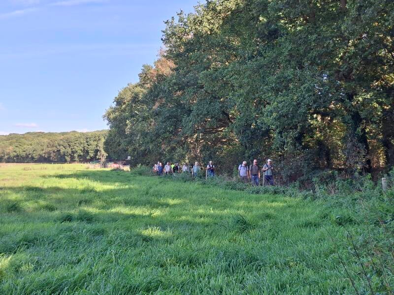 wandelen-4-9-standard.jpg