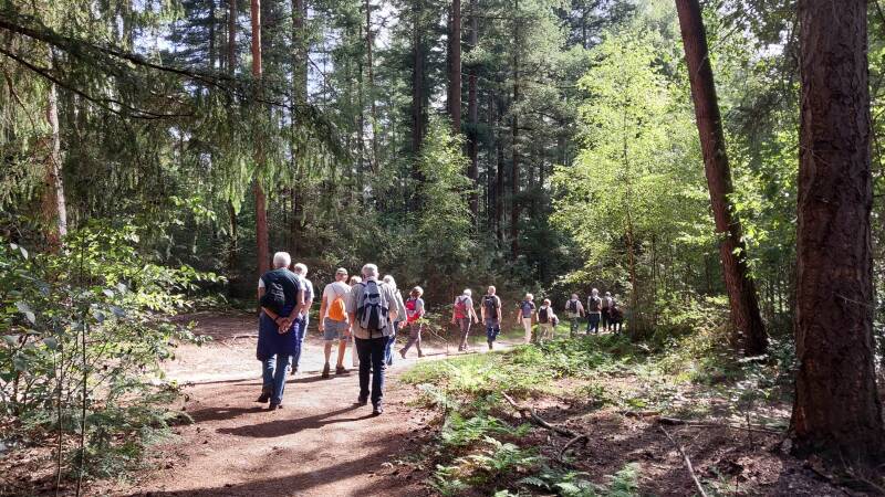 wandelen-5-2-standard.jpg