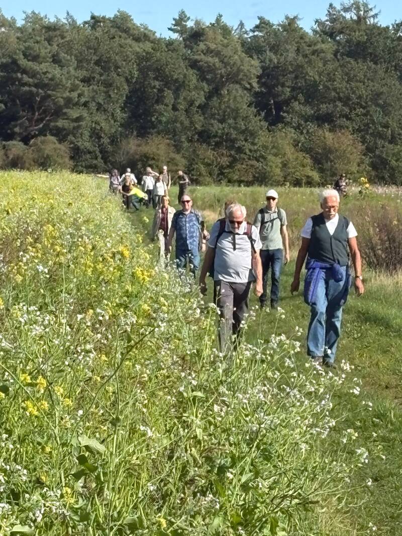 wandelen-60-0-standard.jpg