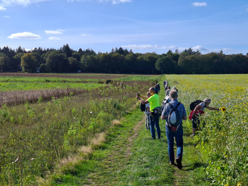 wandelen-60-1-standard.jpg