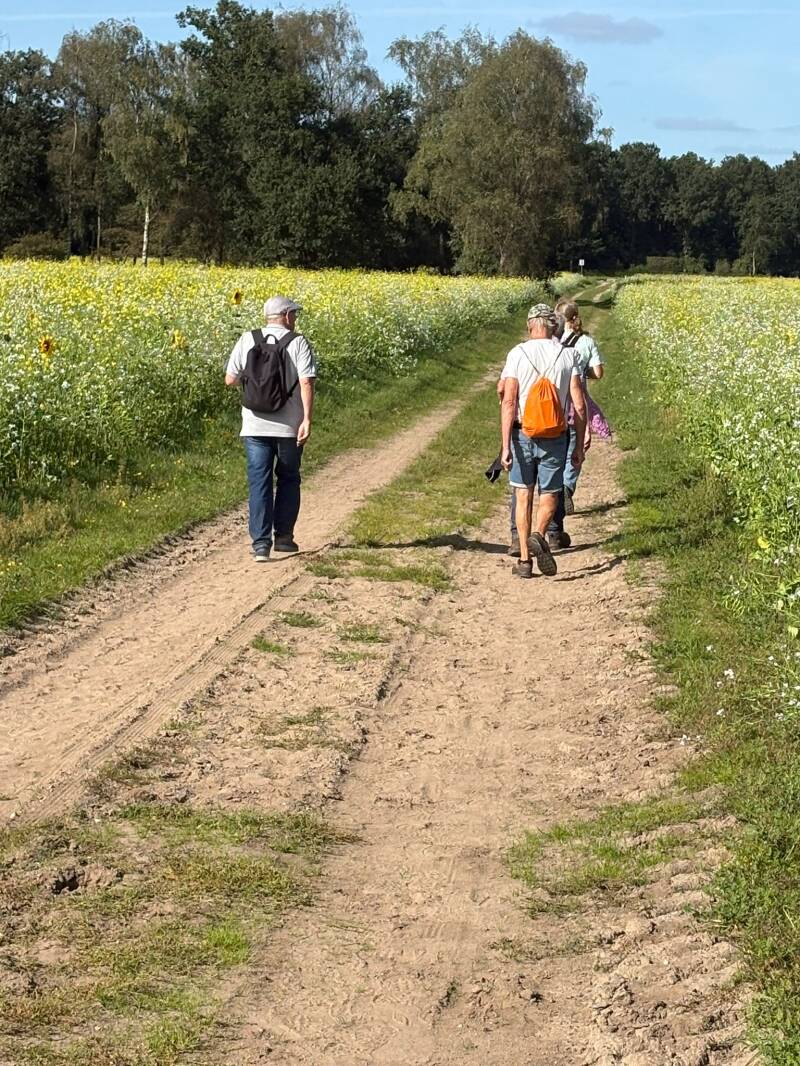 wandelen-60-10-standard.jpg