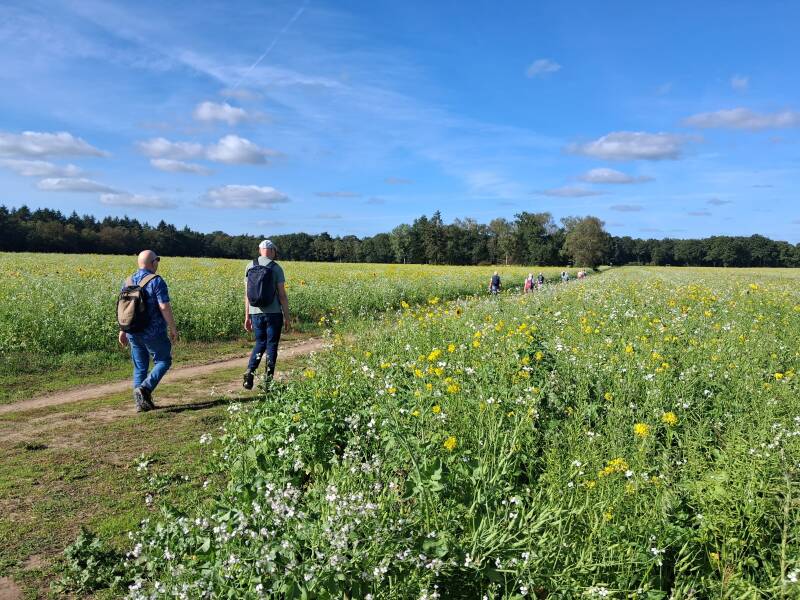 wandelen-60-11-standard.jpg