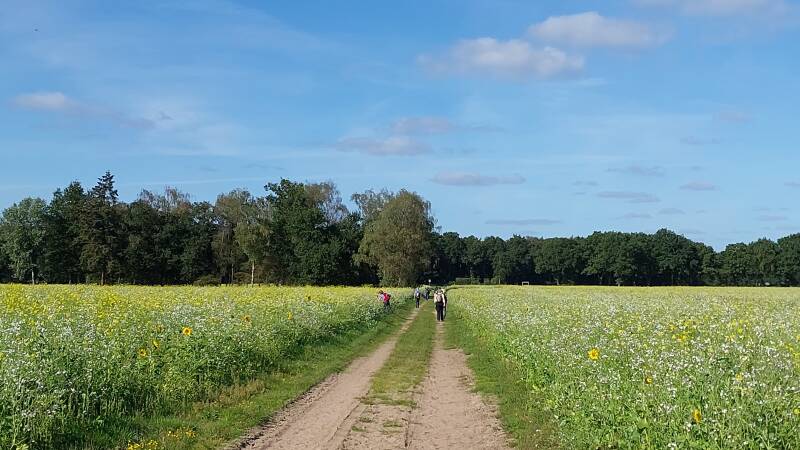 wandelen-60-12-standard.jpg