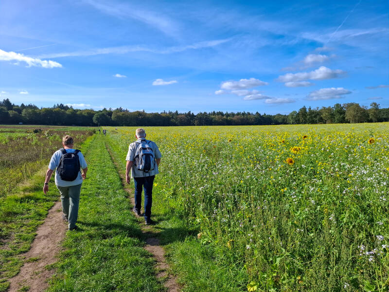 wandelen-60-2-standard.jpg