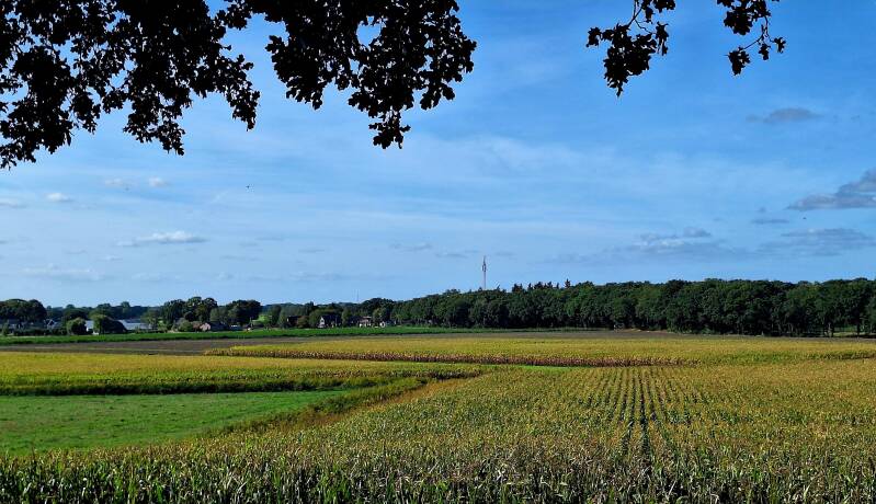 wandelen-74-standard.jpg