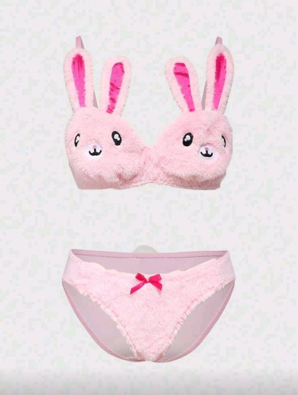 Ensemble de soutien-gorge et culotte matelassé en peluche mignon avec broderie de lapin sans armature 02/2026