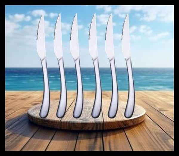 Ensemble de 6 couteaux à steak en acier inoxydable, design élégant, argent brillant, Montecarlo