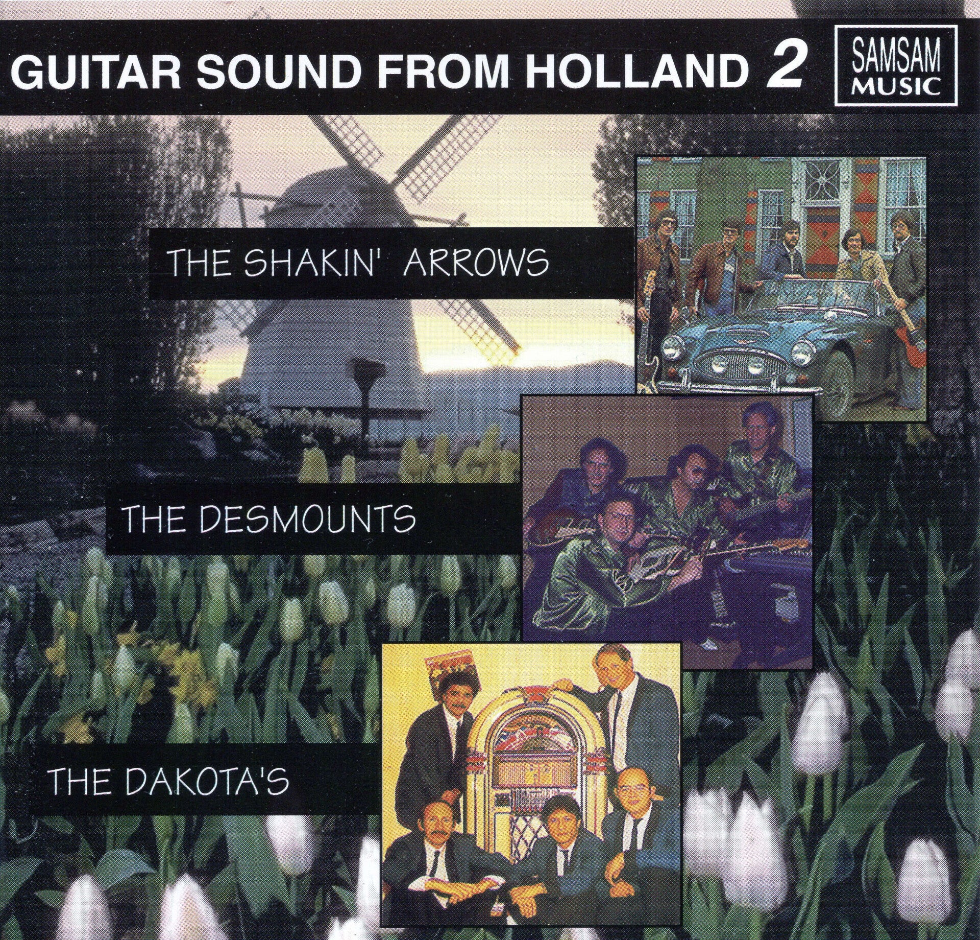 The Shakin' Arrows, The Desmounts, The Dakota's - Guitar Sound From Holland 2