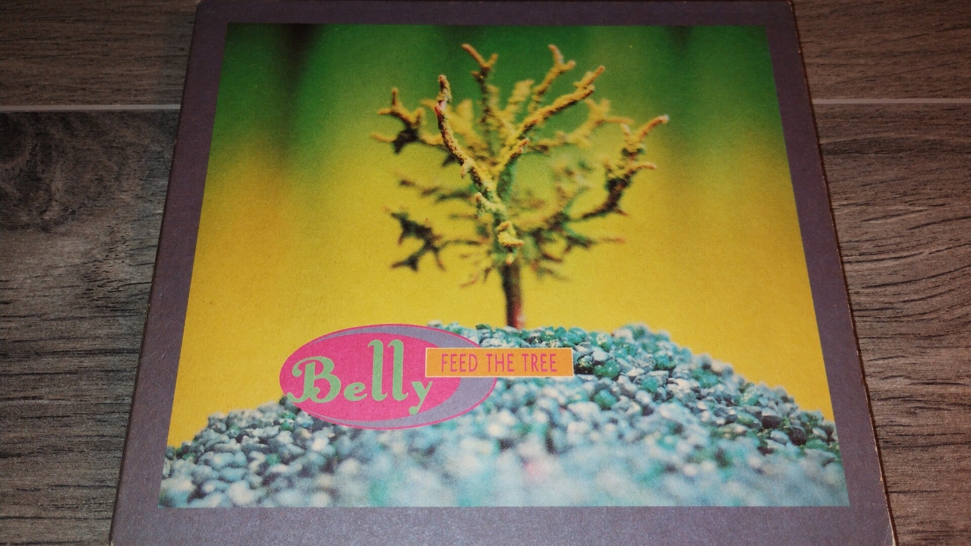 Belly - Feed The Tree (CD Single)