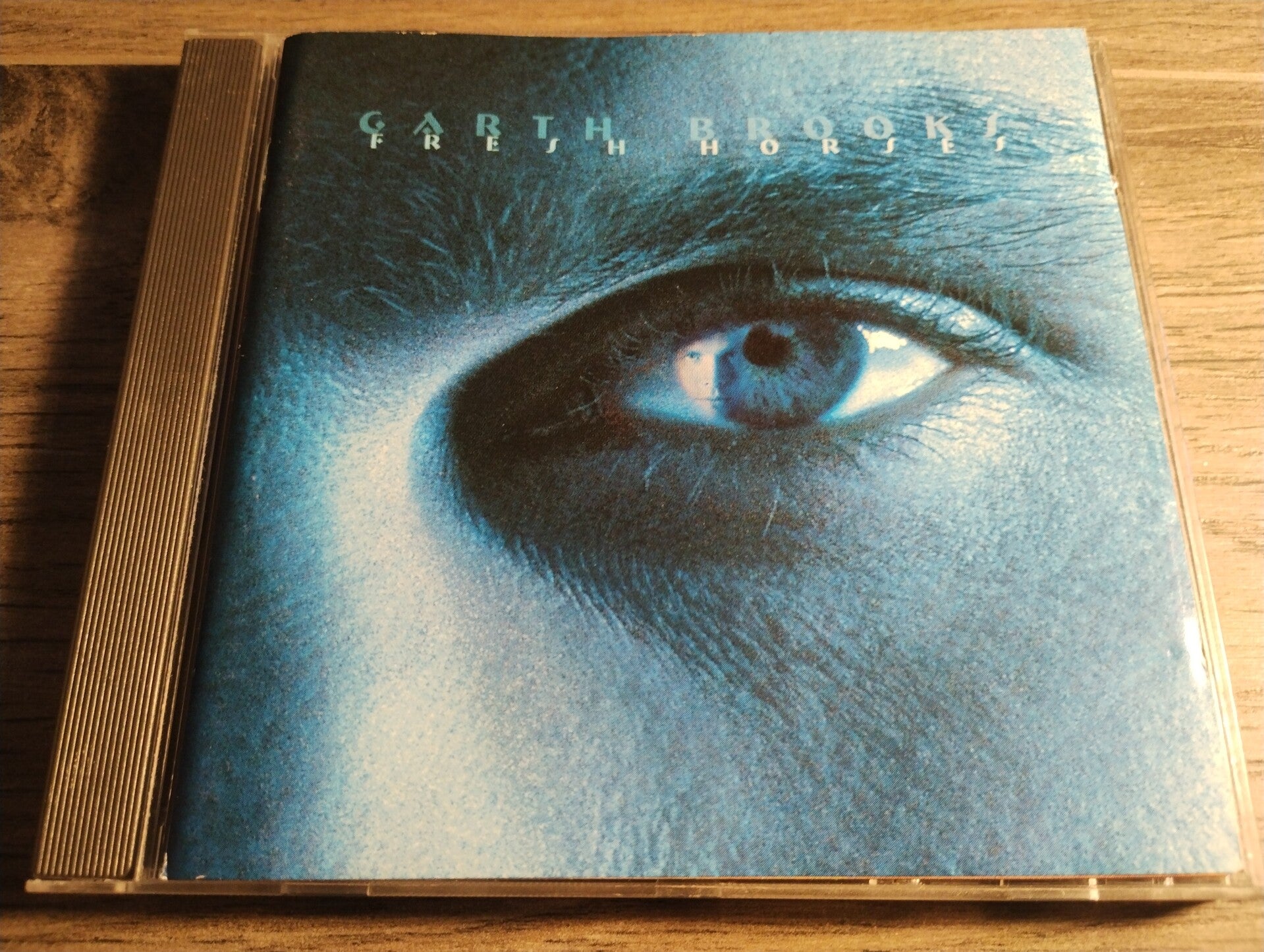 Garth Brooks - Fresh Horses