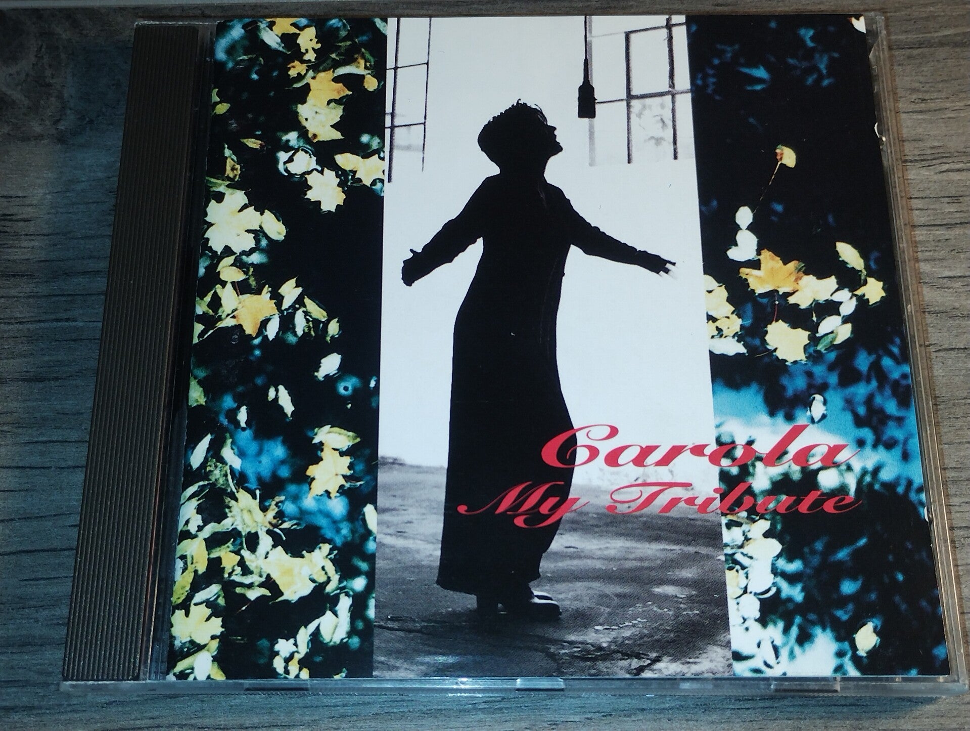 Carola - My Tribute