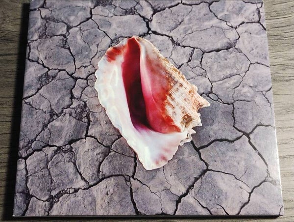 The Killers - Wonderful Wonderful (Deluxe Edition Digisleeve)
