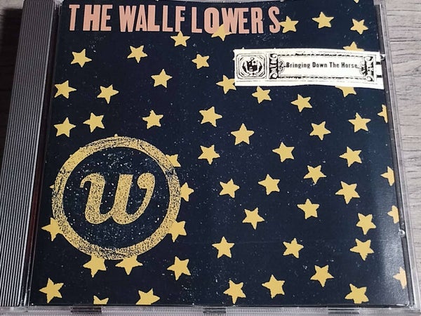 The Wallflowers - Bringing Down the Horse