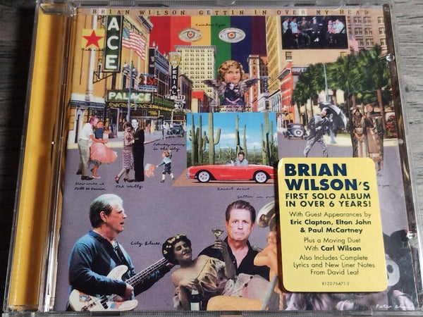 Brian Wilson - Gettin In Over My Head