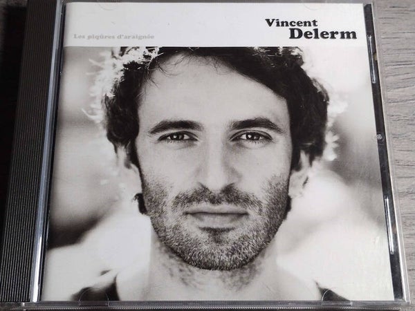 Vincent Delerm - Les Piqures d' Araignee