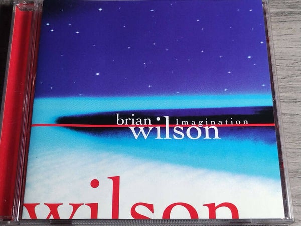 Brian Wilson - Imagination