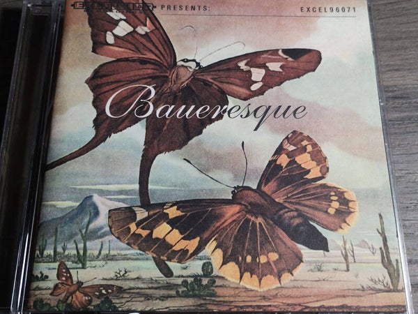 Bauer - Baueresque