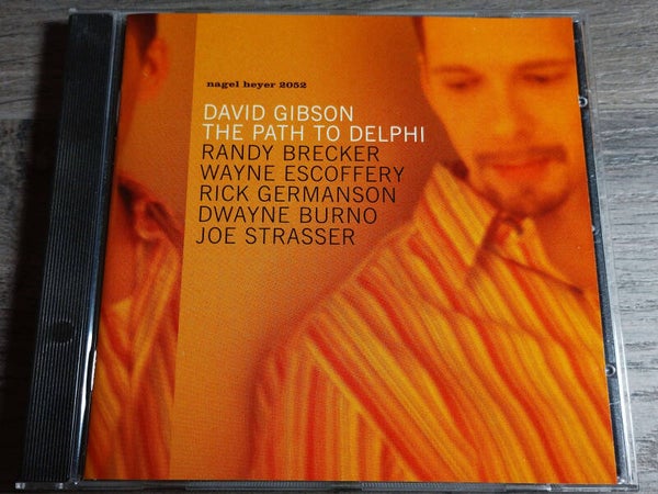 David Gibson - The Path To Delphi