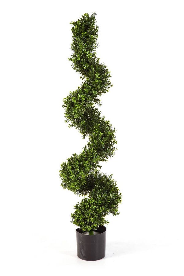 Boxwood Spiral Tree 135 cm