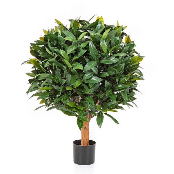 Laurel Ball UV