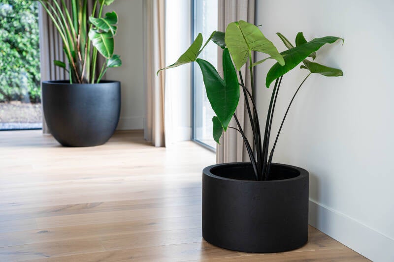grigiocylinder-anthracite1.jpg