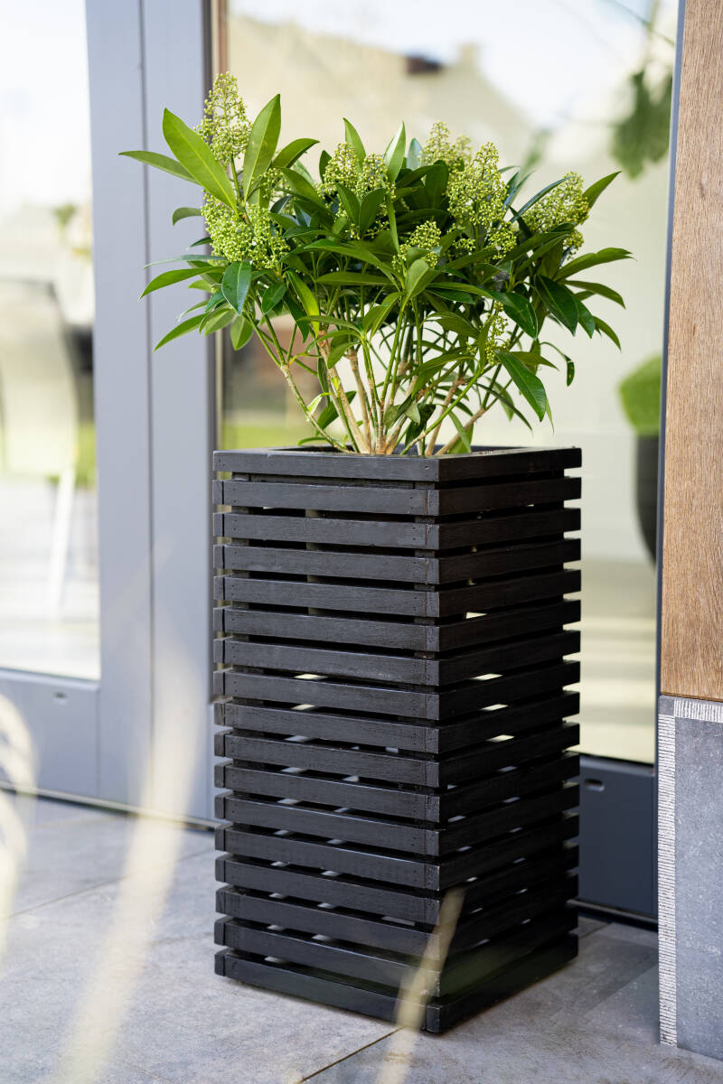 marroneorizzontalehighcube-black.jpg