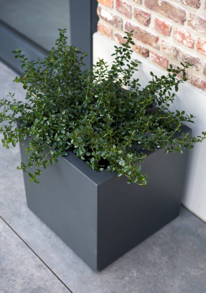 strettocube-anthracite4.jpg