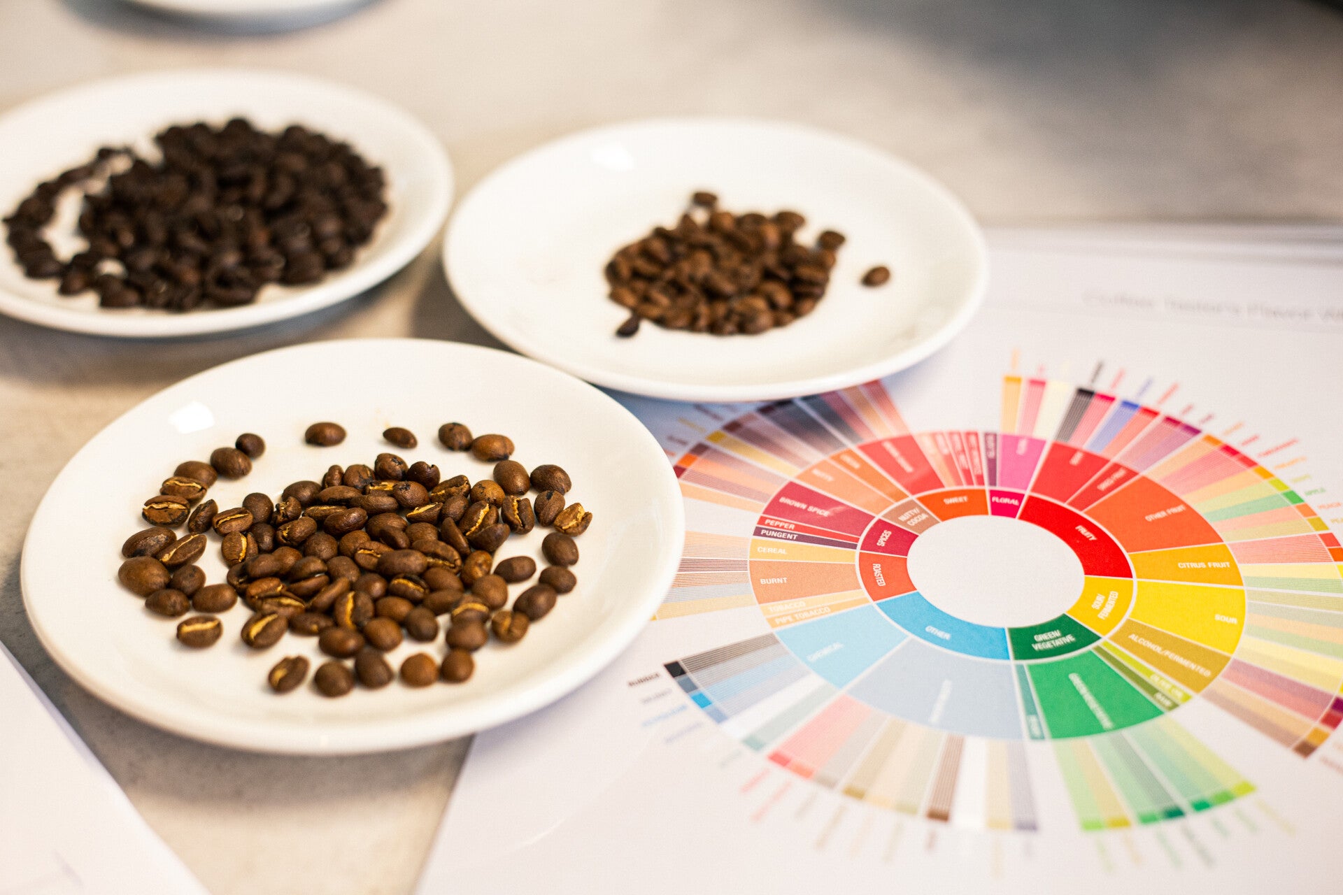 Barista Workshop (donderdag 28 mei 2026, aanvang 19:00 uur)