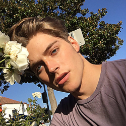 click on the foto to go to our instagram ;)