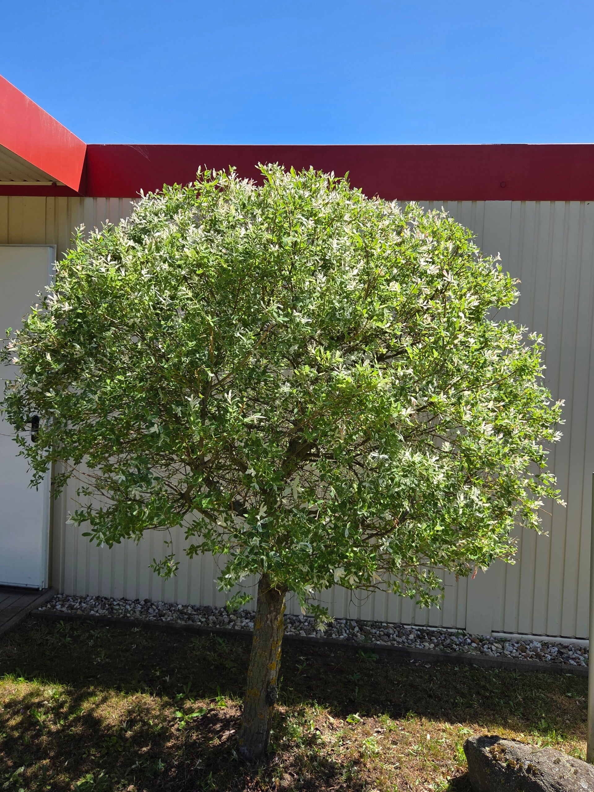 20260527_132552-standard-n08gm7.jpg
