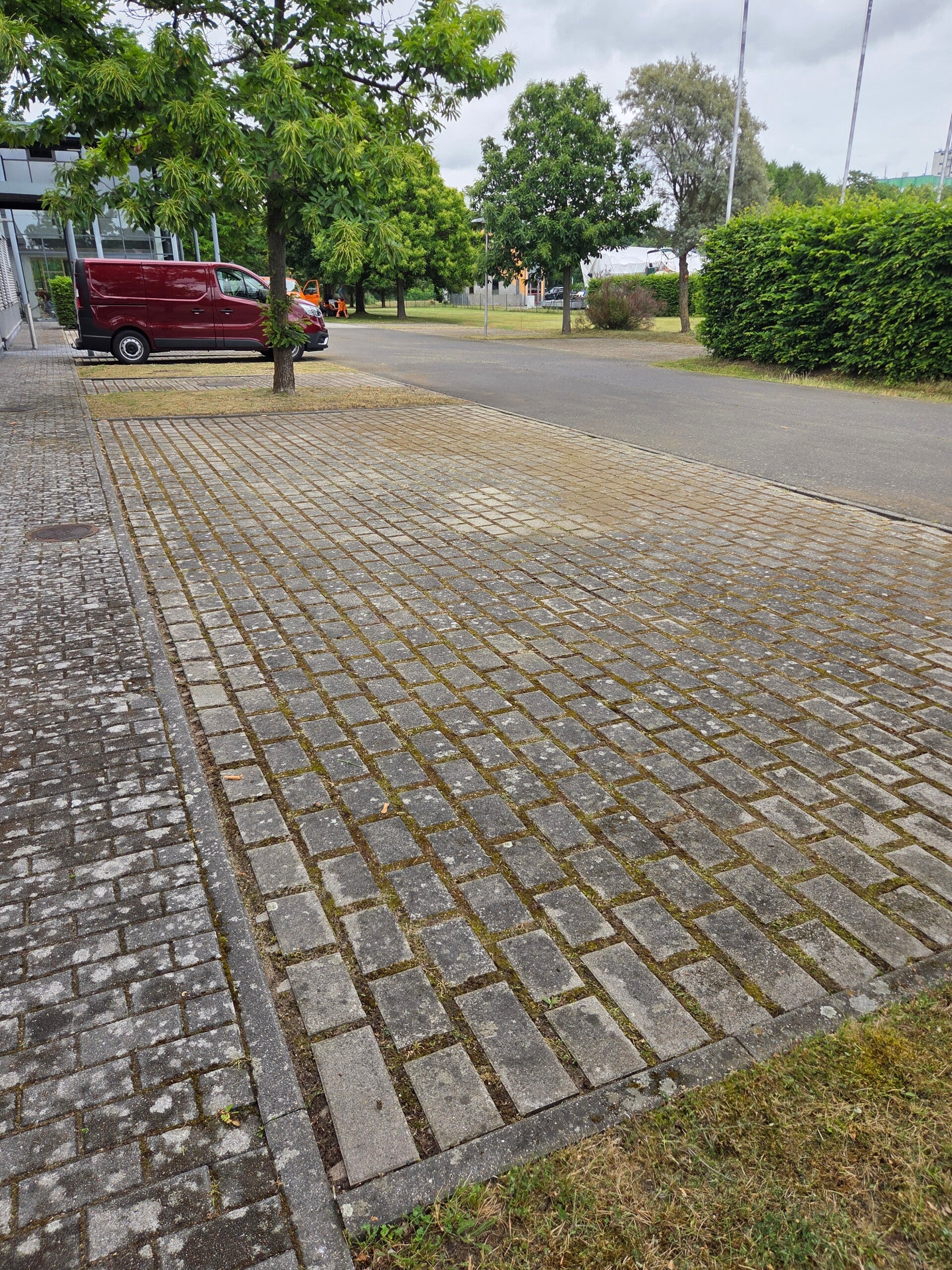 20260609_123236-standard.jpg
