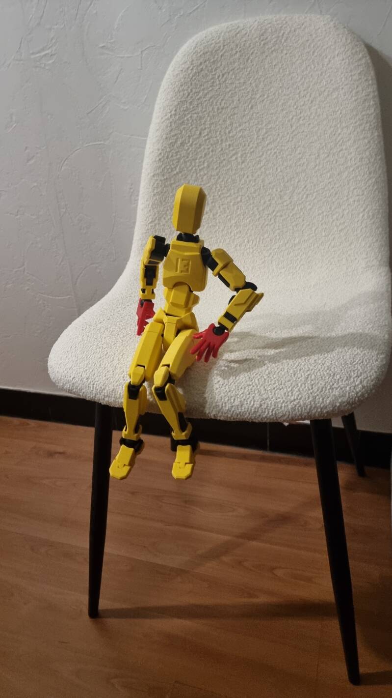 Crashtest dummy 13
