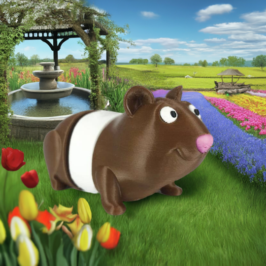 Schattige cavia in 2 kleuren