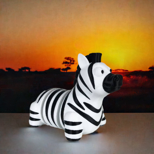 Zebra die op zijn strepen staat