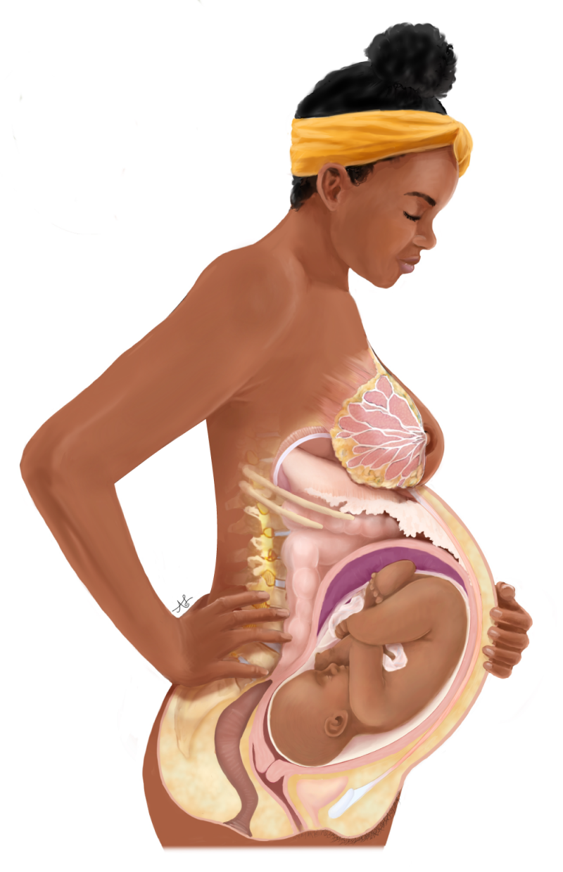 medische illustratie moeder en kind