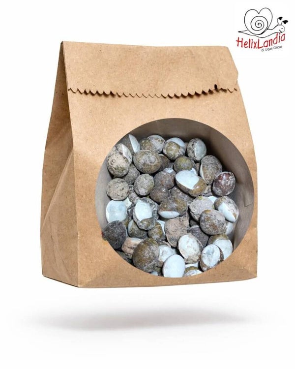 Monachelle 600gr