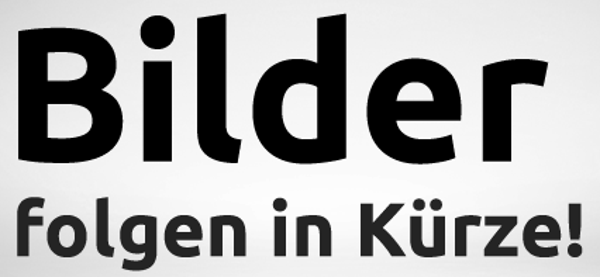 LEP Pufferpatronen, Übungshülsen mit Geschoss und Gummi-Einlage