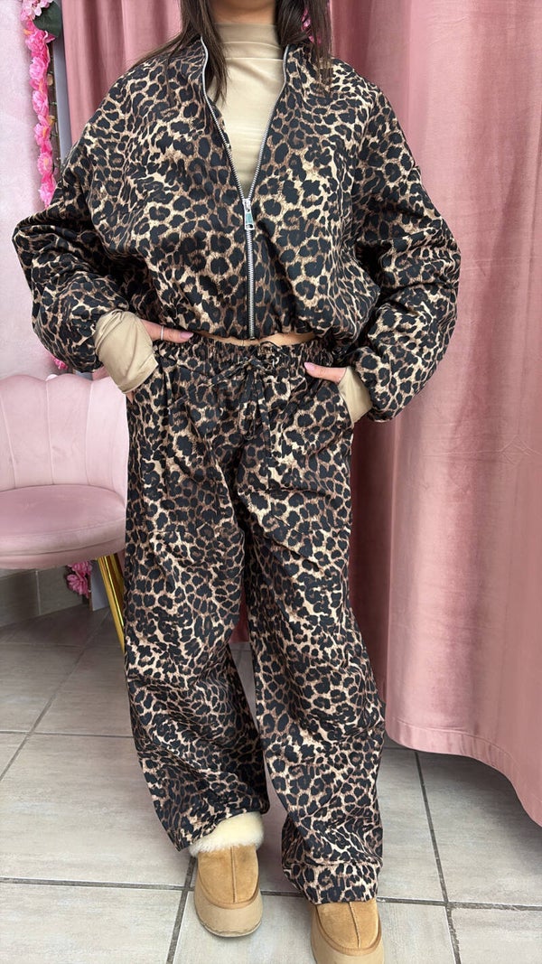 Set leopard