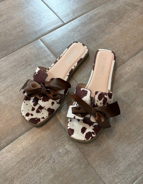 Ciabby Miu miu