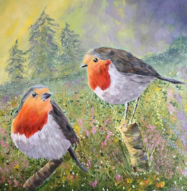 Robins in spring meadows