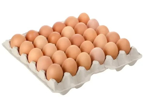 Eieren tray 30 stuks