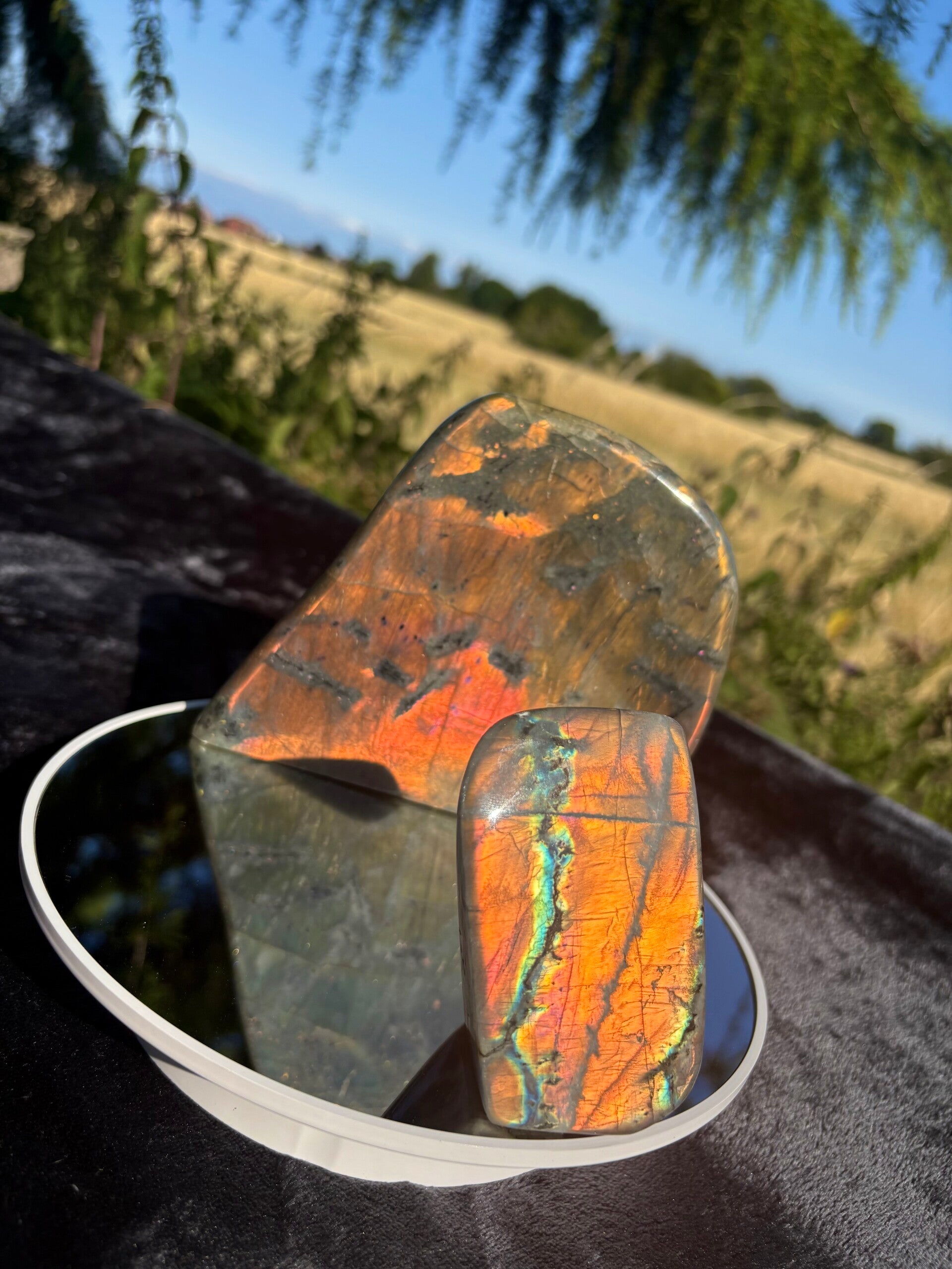 Close-up of rare pink and magenta flash on a polished Madagascan labradorite crystal slab⁠