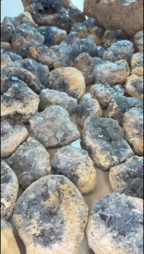 ✨ STUNNING NATURAL CELESTITE GEODES ✨