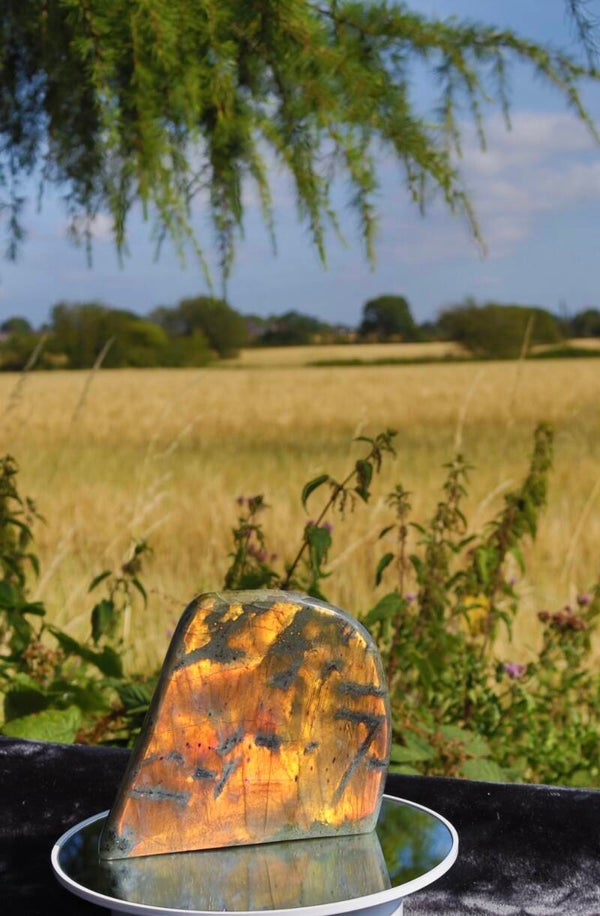 1.36kg Fiery Sunset Labradorite Freeform | Statement Golden Copper Flash