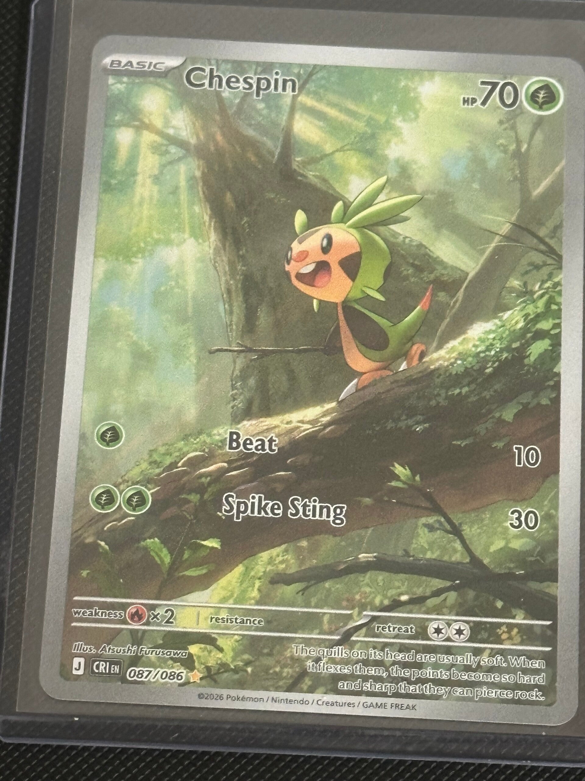 Chespin