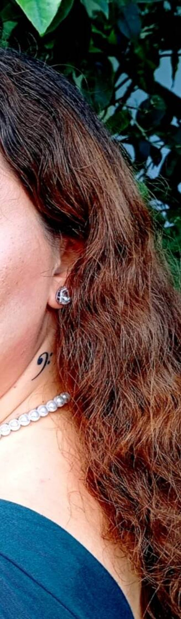 Steel drops earrings