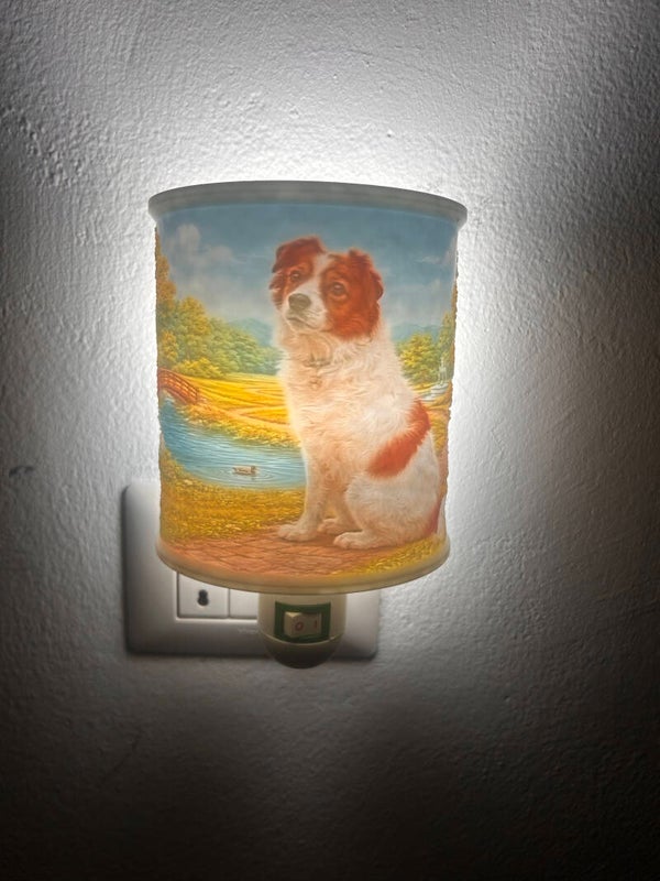Litofania a colori